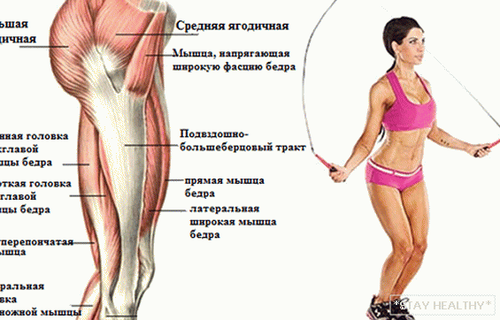 Quels muscles sont entraînés à la corde à sauter